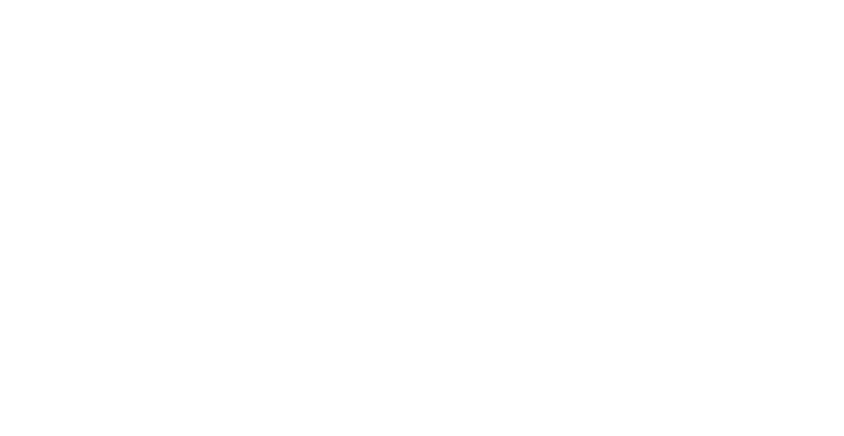 Global Analiz SMMM